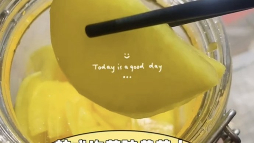ʽݲ˻ܲ