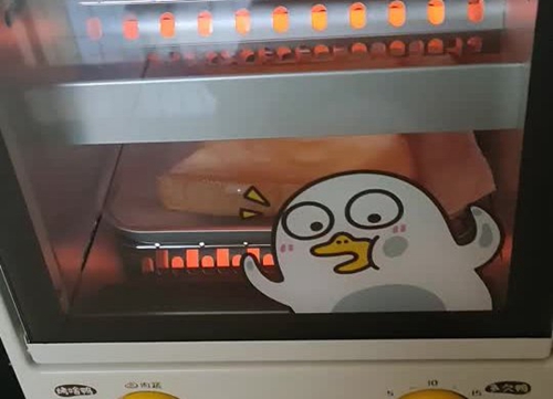˾