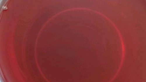 ÷