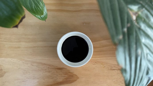 ǽ