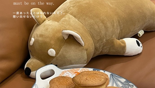 ɿڲݵС