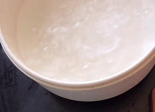 ̦Ϻ
