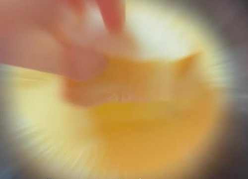 ʽ̽˾