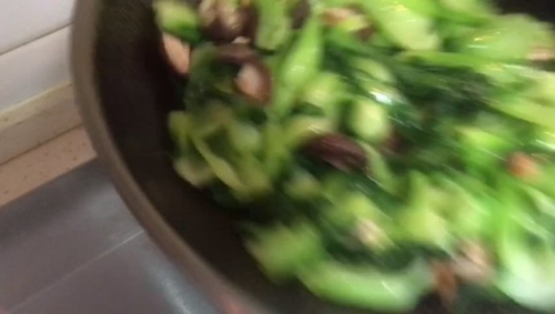 㹽Ͳ
