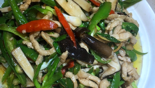 ڼݾ˿