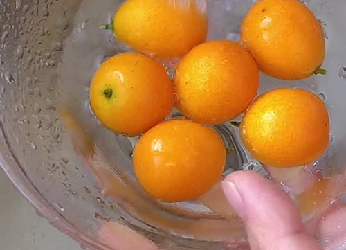 ѩ