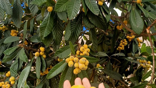 ˸