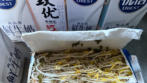 ţ̺кԷ̶ѿ