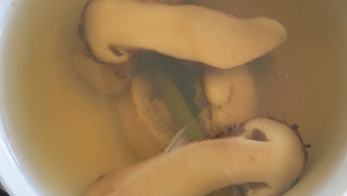 ɱ