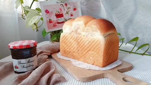ݮ˾