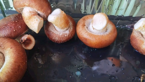 㹽