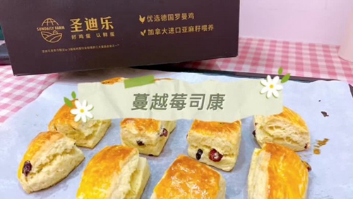 Խݮ˾