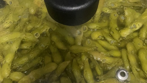 ˮë