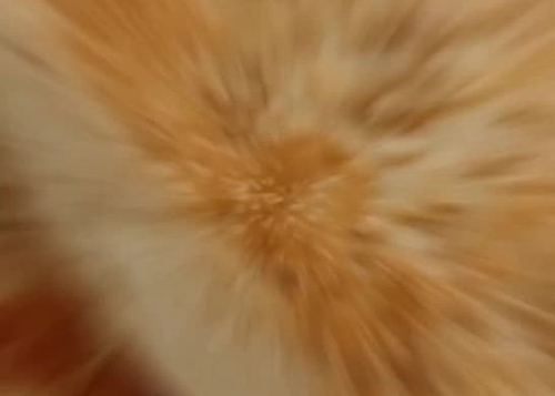 ϵĿڴ