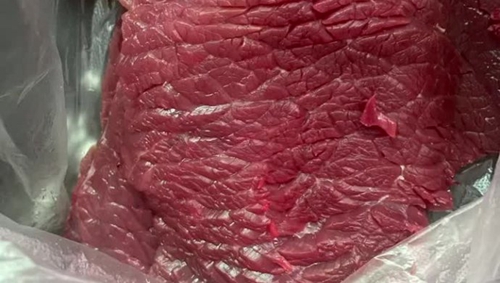 ţ