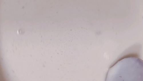ĢŨ