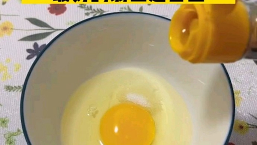 ȸ