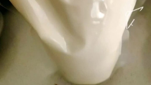 㽶˾