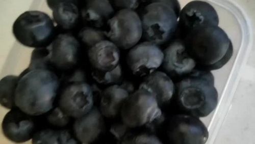 ݮ