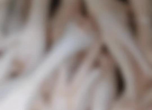ʰצ