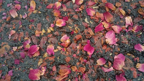 ֹ