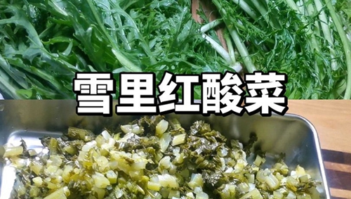ѩ