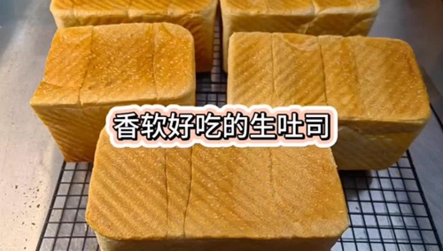 ˾