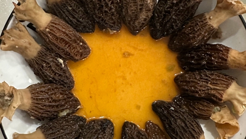 Ǿ