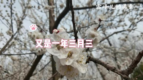˻󼦵