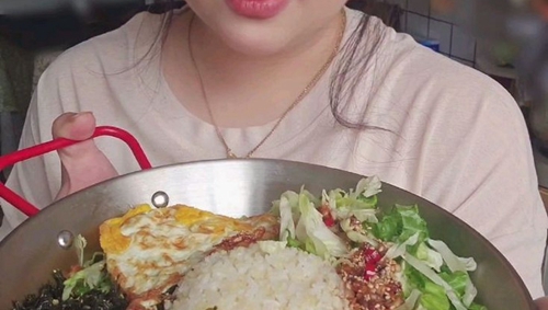 Ϳ˰跹