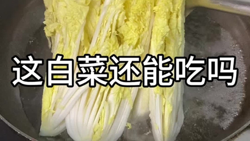 ̰ײ