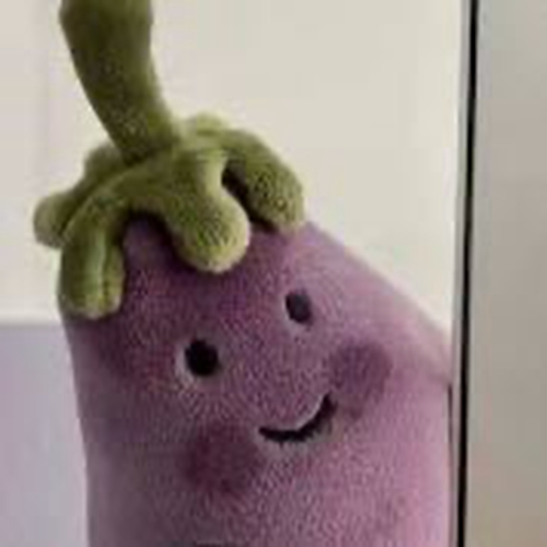 ɹ