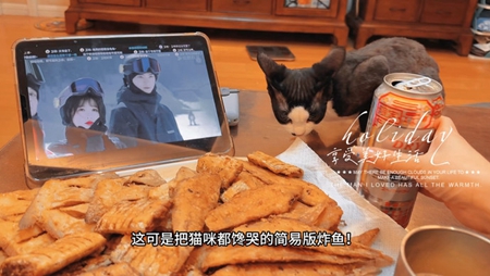 ʧС