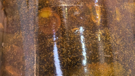 ۸