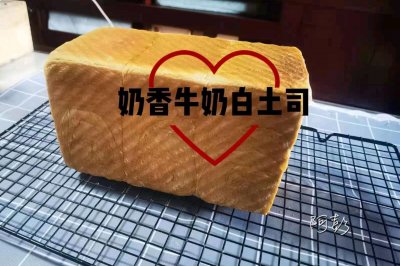 ţ̰˾