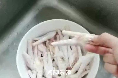 ˬצ