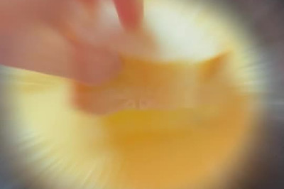 ʽ̽˾