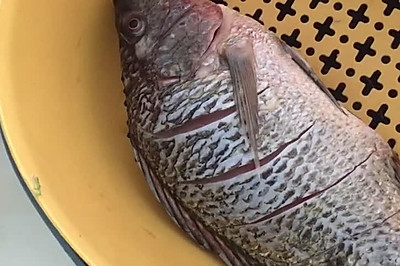 ޷