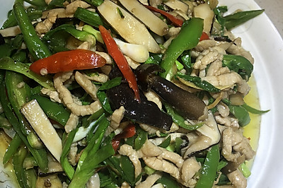 ڼݾ˿