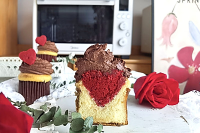 ˽ڰֽ