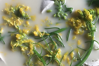 ˻