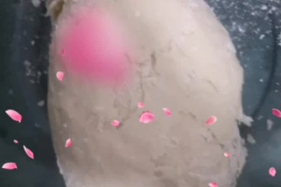 Ȳ