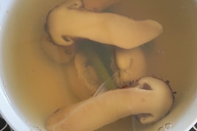 ɱ