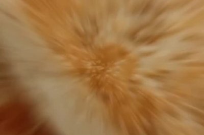 ϵĿڴ