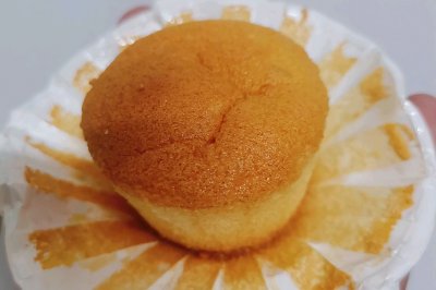 ֽݷ絰