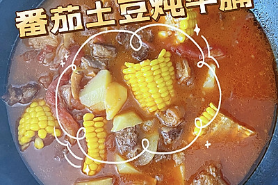 ţ