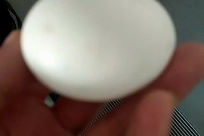 ȫ