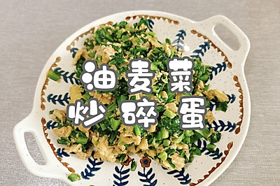 ˳鵰
