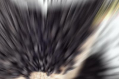 ֥ζݷ