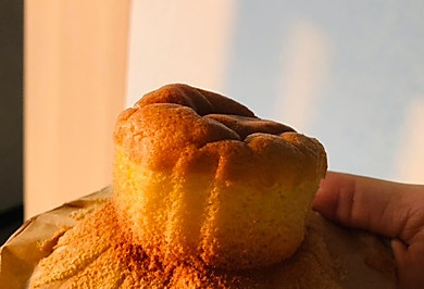 ݷ絰⣨Ϳ·棩